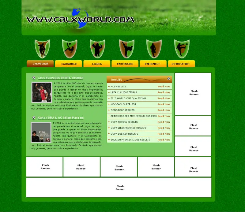 Website Design & Development with Best Magento Open Source Web Designer and Developer eCommerce Store