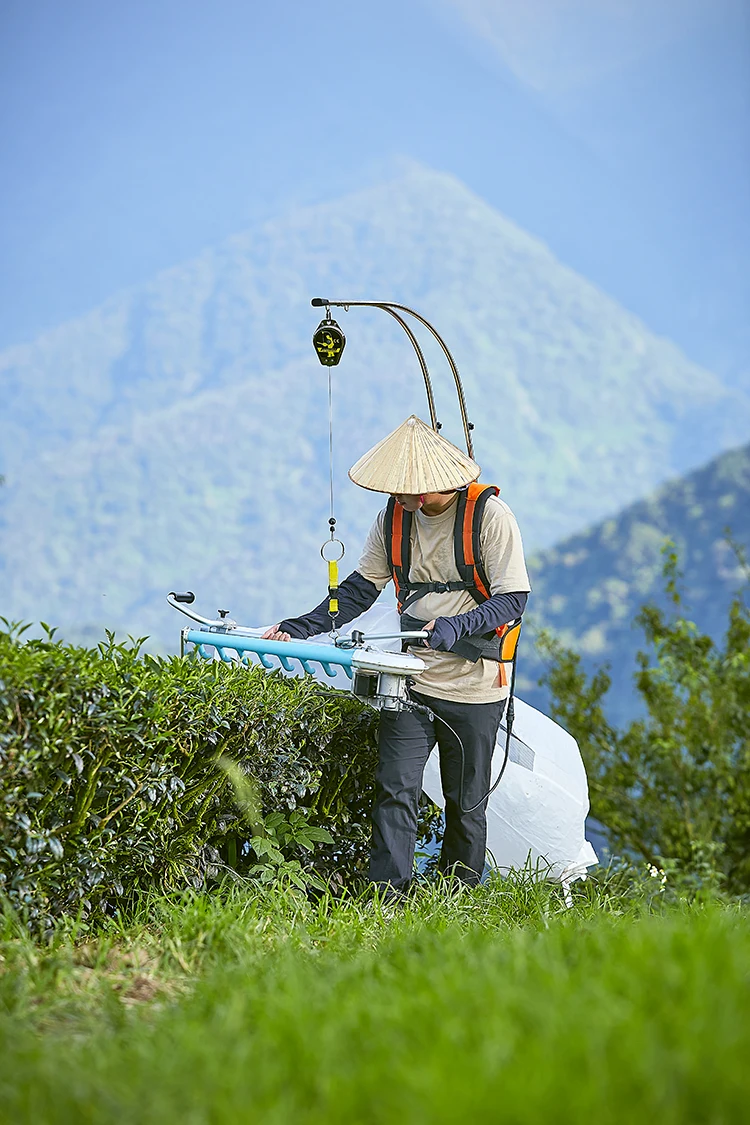 Tea plucking machine | Tea harvesting machine | One-man operated electric tea cutting machine