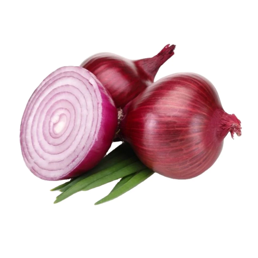 Top sale 2023 new production material for Fresh Vegetables Onion Red Bombay Onion Red Creole red piony Exporters from India