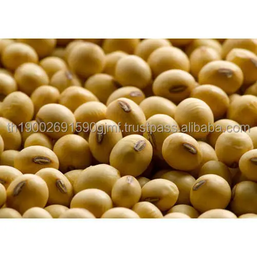 soya-bean-500x500 (1).jpg