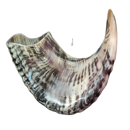 Редкий очень большой легкий натуральный гудок Shofar по подходящей