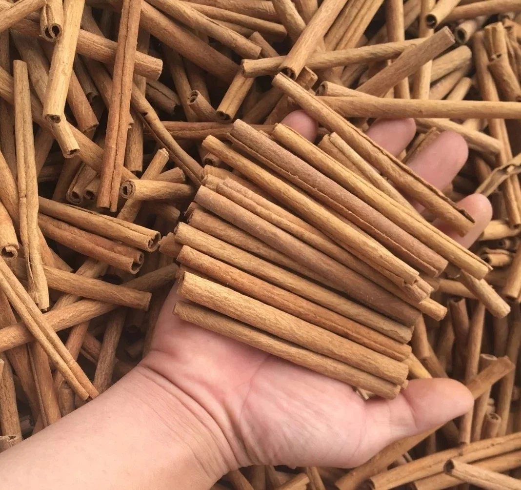 High Quality pure Cinnamon natural cinnamon best price in Vietnam