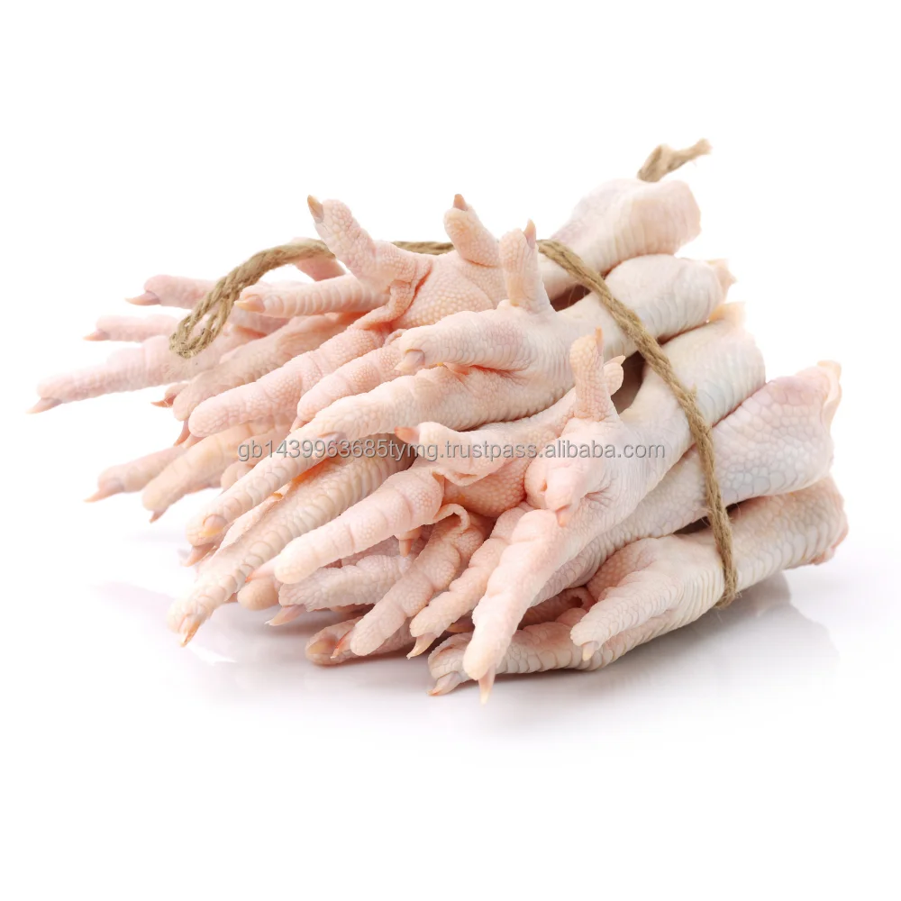 Frozen Chicken Fresh Whole/ Feet/ Legs Quarters frozen chicken breast for sale Wholesale Prices