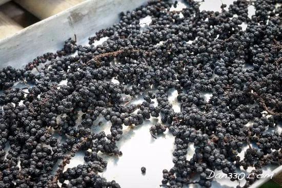 Vietnamese Pinhead 1mm-3mm High Quality Wholesales Price From Phalco Vietnam JSC