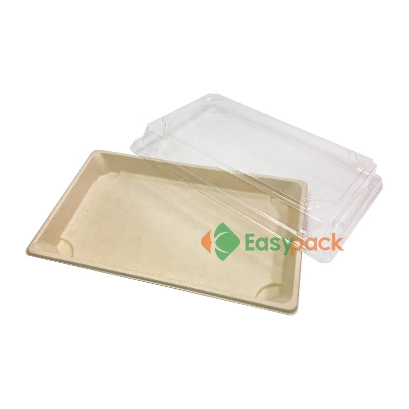 Biodegradable compostable pulp food container sushi takeaway box with lid