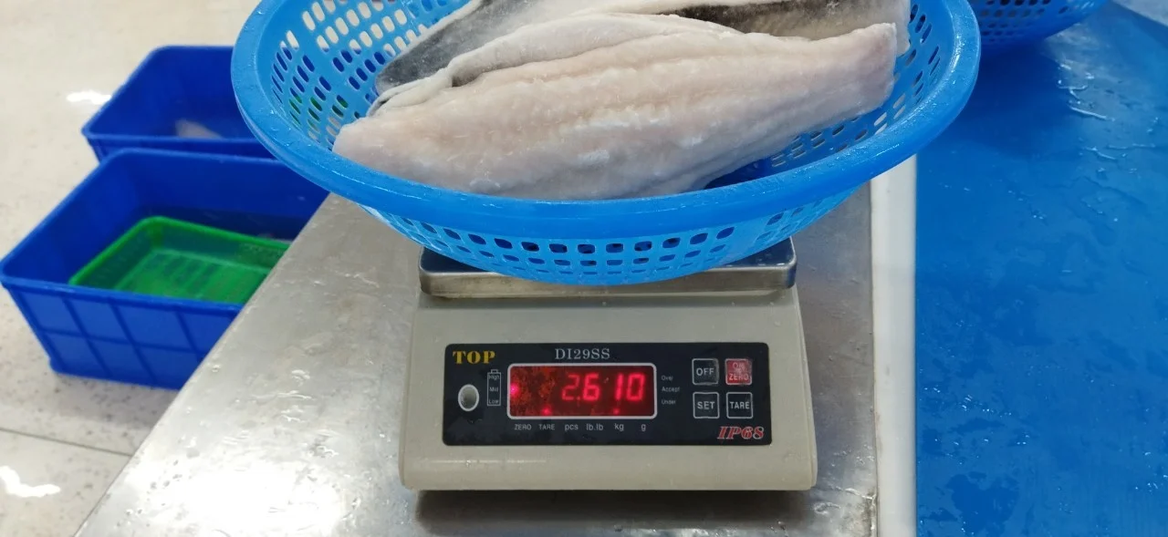FROZEN PANGASIUS FISH FILLET  /BASA FISH FILLET SKIN ON FROM VIETNAM