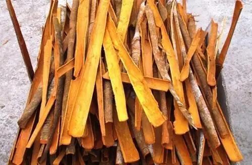 2022 NEW Dried Split Cassia Cinnamon / Dried Split Dalchini From Factory in Vietnam