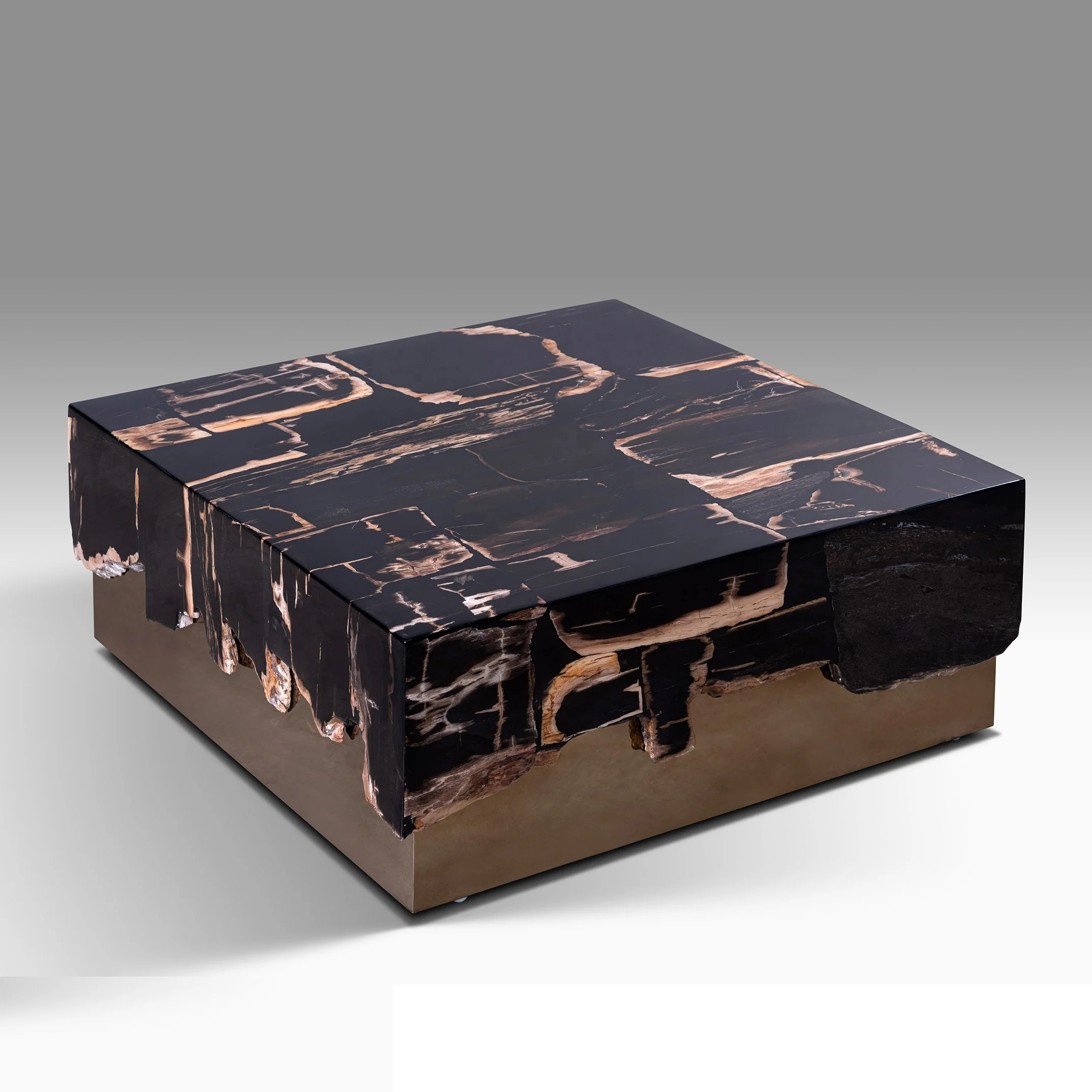 Luxury Modern Farmhouse Entryway Natural Petrified Wood  Coffee Table Solid Wood