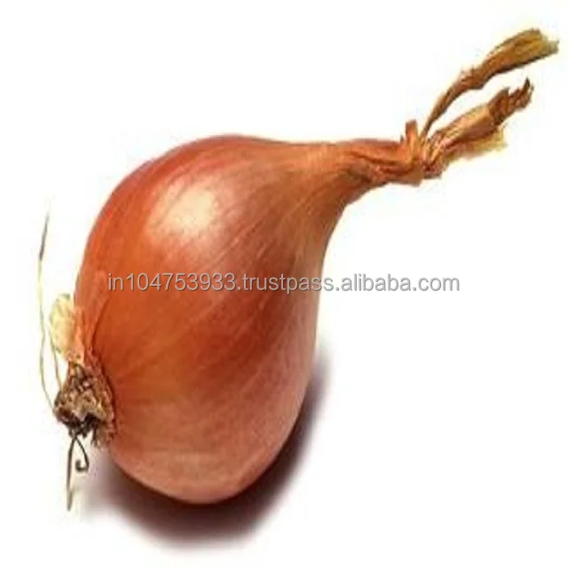  Маленькая луковая жареная еда со шальлотом на вкус.