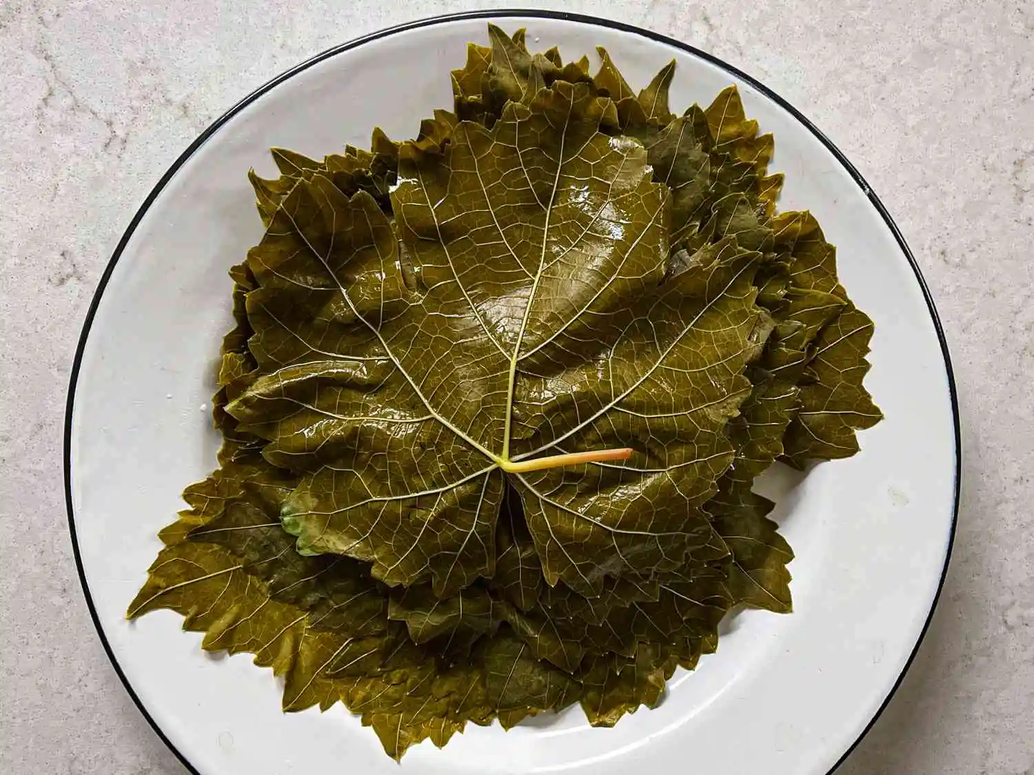 SPECIAL OFFER Top Notch Quality BEST SELLING Factory In Vietnam VINE LEAVES IN BRINE 850g