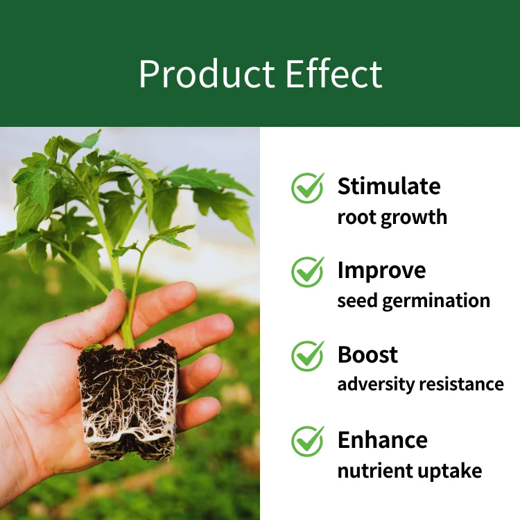 Agricultural fertilizer Organic Root plant nutrient for Durian Trees compound fertilizer