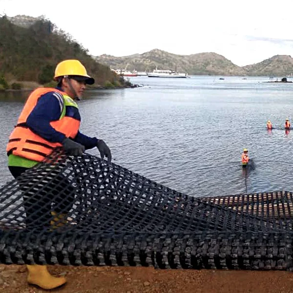 High Strength Biaxial /Fiberglass Plastic Geogrids
