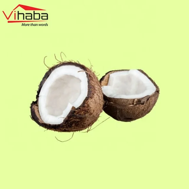 Top exporter dehydrated fruit organic coconut vietnam nuts and dried fruit export of coconut fiber