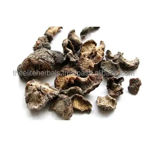 dried-amla-500x500 (1).jpg