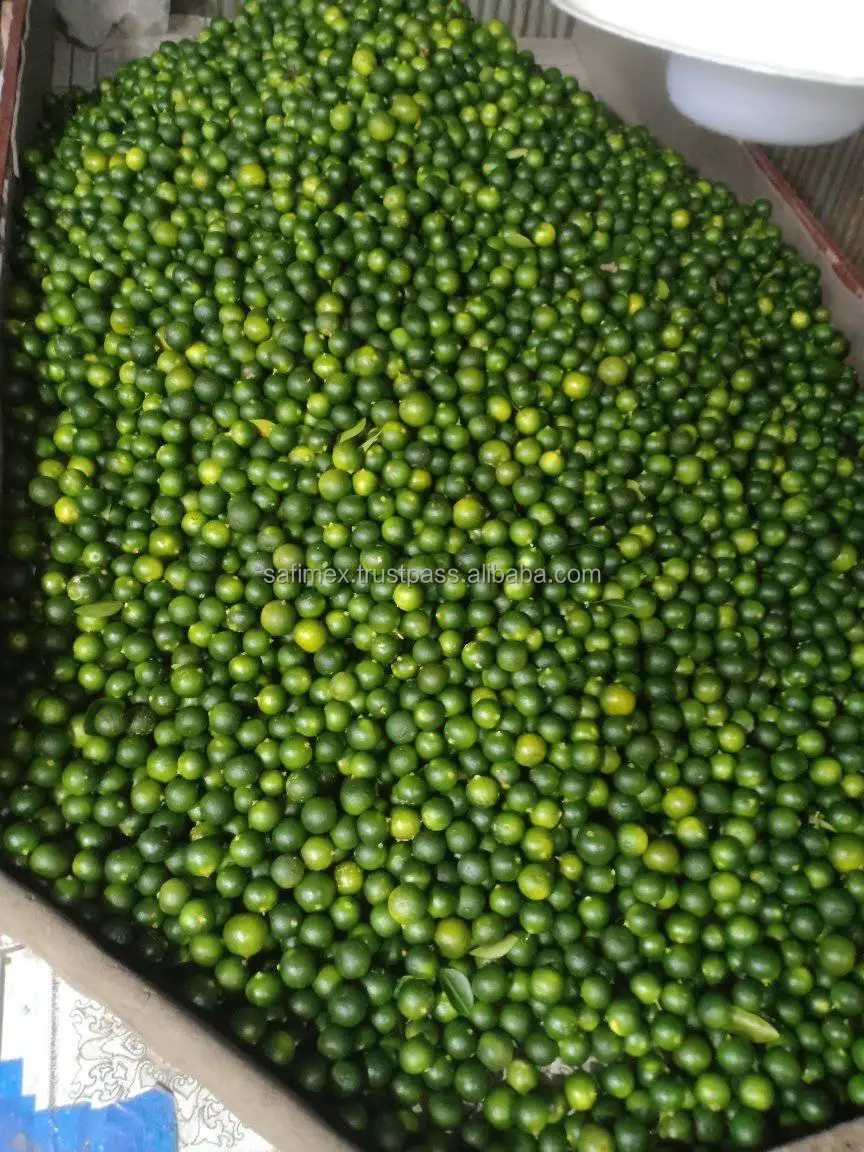 Vietnamese fresh kumquats are used to make detoxifying tea