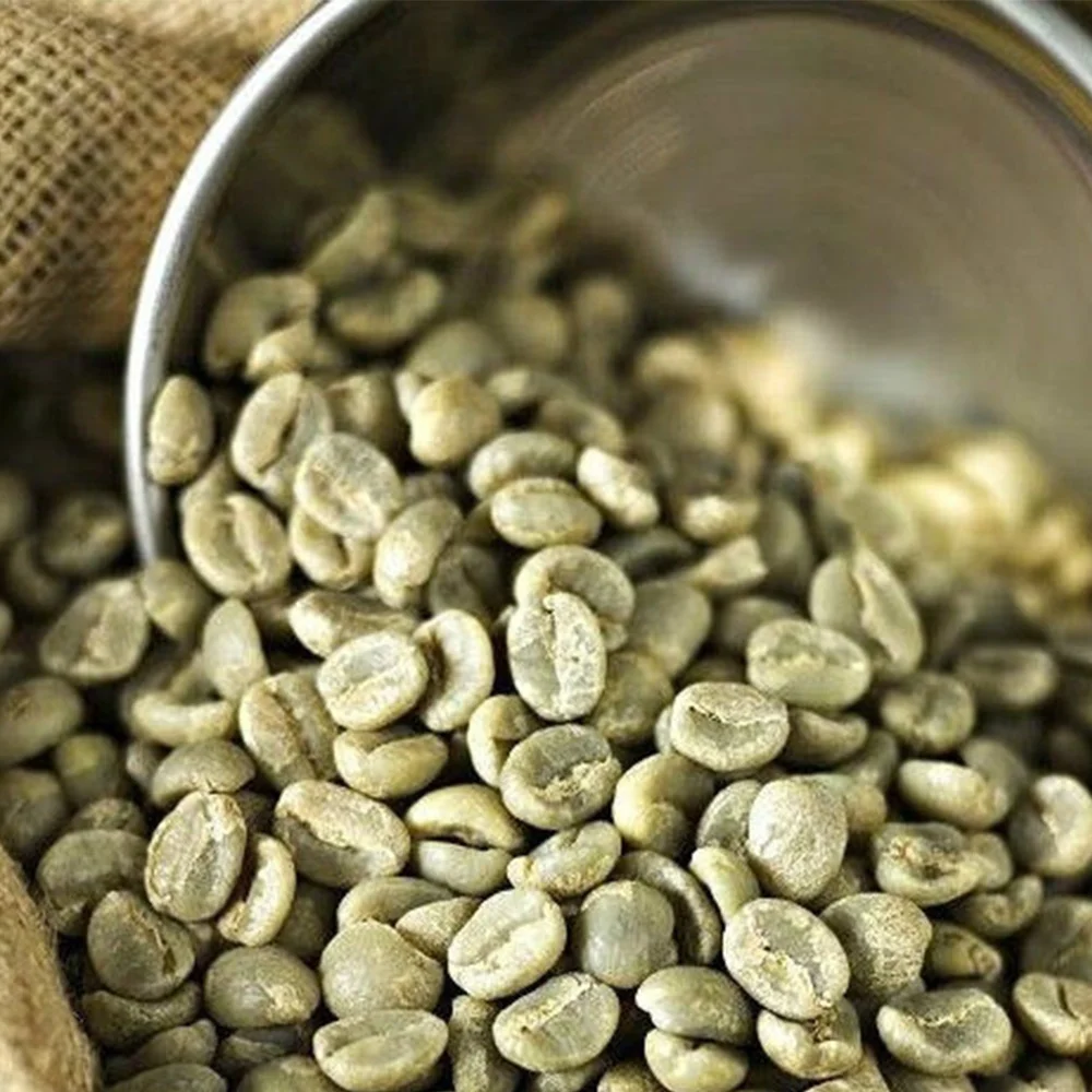 Special Deal Green Coffee Earthy Coffee Bean Speciality Organic Product Seller Vietnam Coffee Supplier