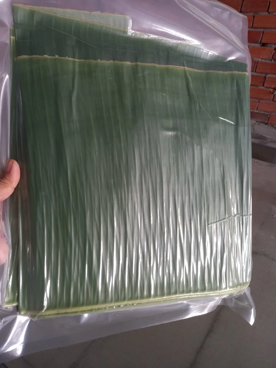 Vietnam Frozen Banana Leaf Fresh Banana Leaves With High Quality +84947900124