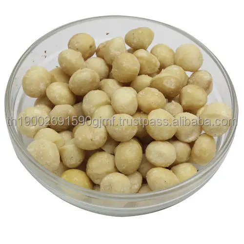 macadamia-nut-500x500.jpg