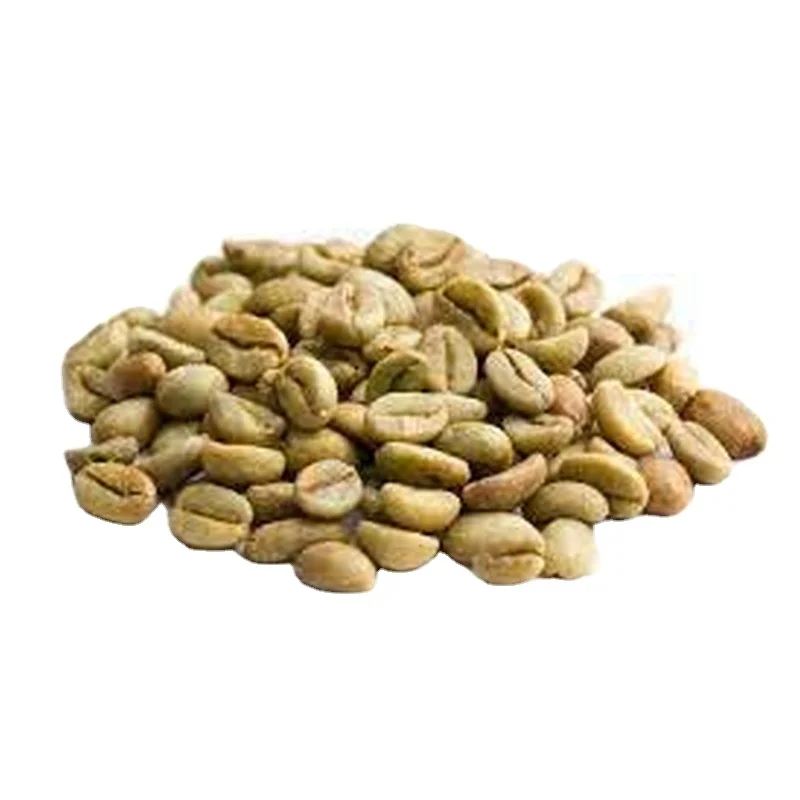 Best quality Green Coffee Beans UGANDA SC.15 NO BLACK Robusta ready to export