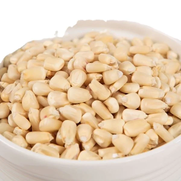 Non-GMO Yellow Corn & White Corn/Maize for Human & Animal Feed for sale