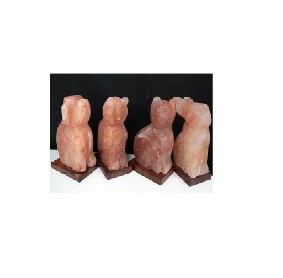 Illuminate with Whimsy Himalayan Rabbit Salt Lamp with Bulb and Power Cord - Pink Animal Shape by Sian Enterprises