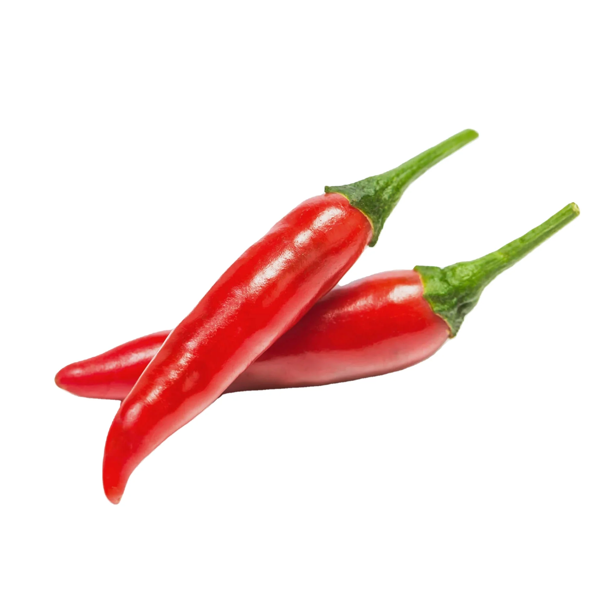 Wholesale Vietnam Fresh Spicy Chili Top Quality Best Price Chili Pepper Hotsale in Bulk OEM Service