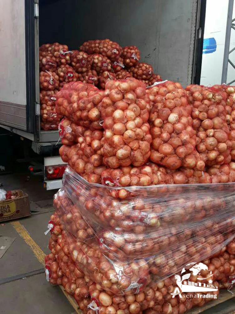 High quality The most popular wholesale Fresh oignons Shallot Peeled Onion Red Yellow White Organic Onion