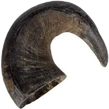 Quality and ox and Buffalo Horn Tip for sale at very polished customized horn tips with natural craft