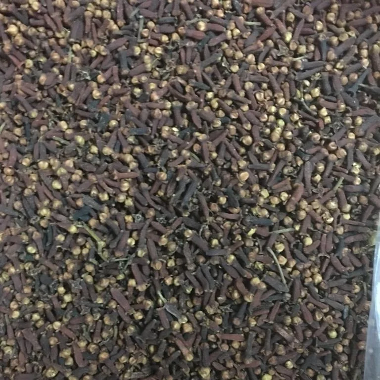 Clove Herbs Spices Top Quality Spices Organic Clove Meat Cooking Products in Bulk High Essential Oil Content Cloves