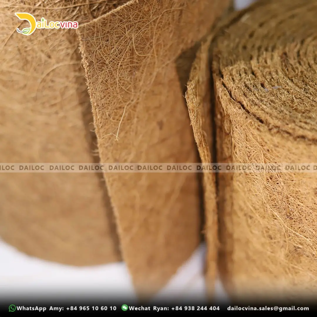 USING COCONUT COIR TAPE AS GROWING MEDIUM EXCELLENT AERATION