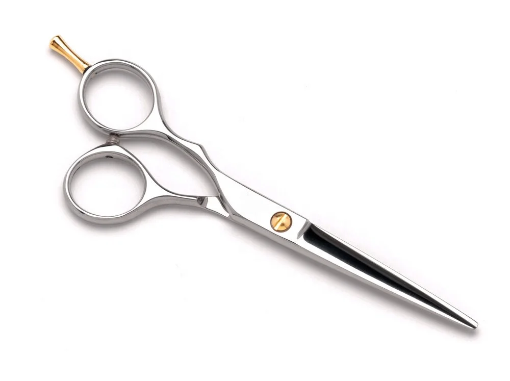 Professional Hair Scissors 6 Inch Hairdressing Scissors for Salon and Home Japan Silver HRC OEM Customized Steel Stainless Style