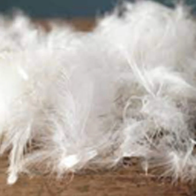 Whole sale factory pure down  Feather