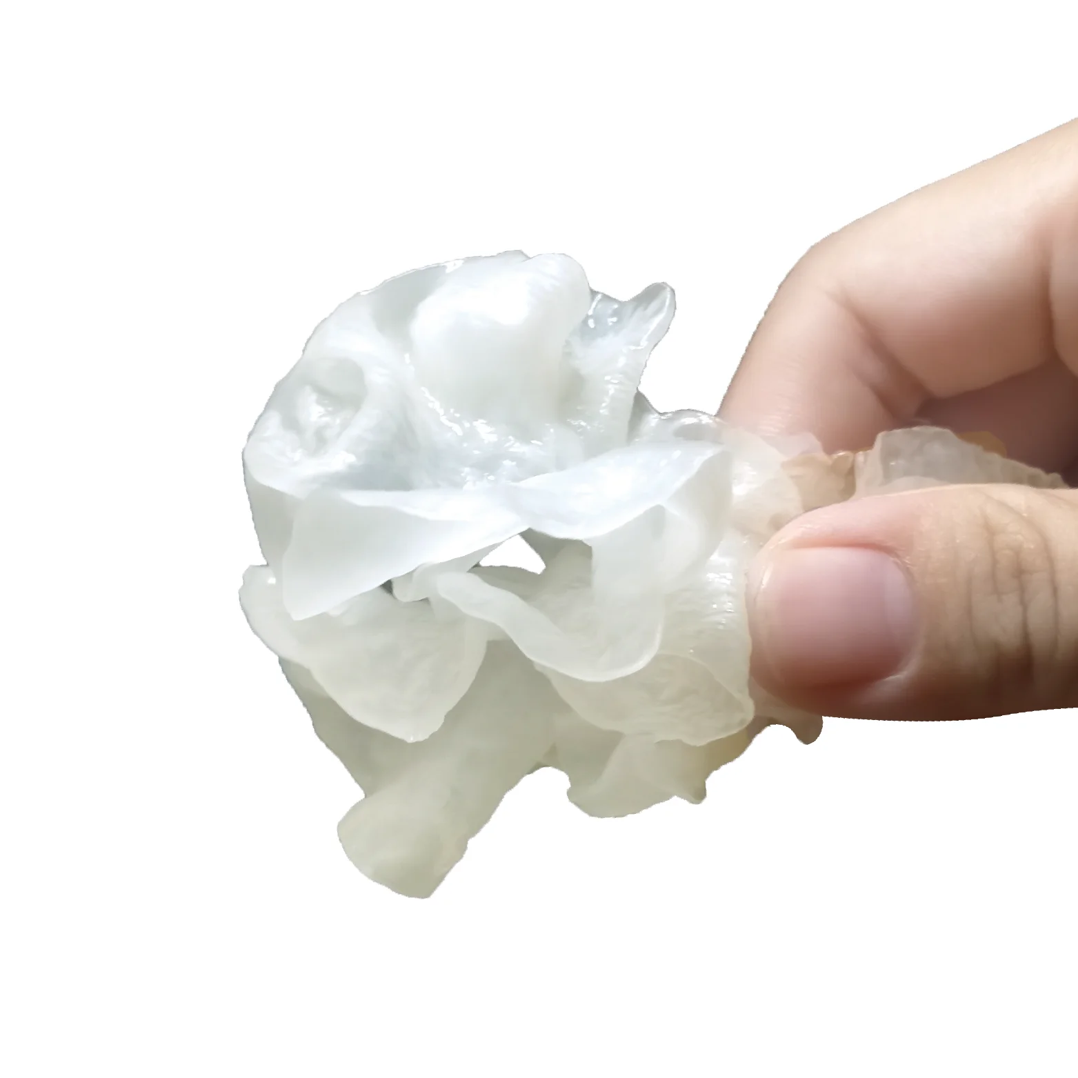 fresh crispy fresh lower cholesterol tremella mushroom