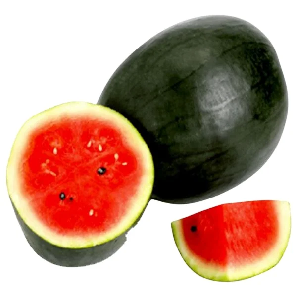 
Best Quality Fresh Watermelon Black Indian Fruits and vegetables Exporter 