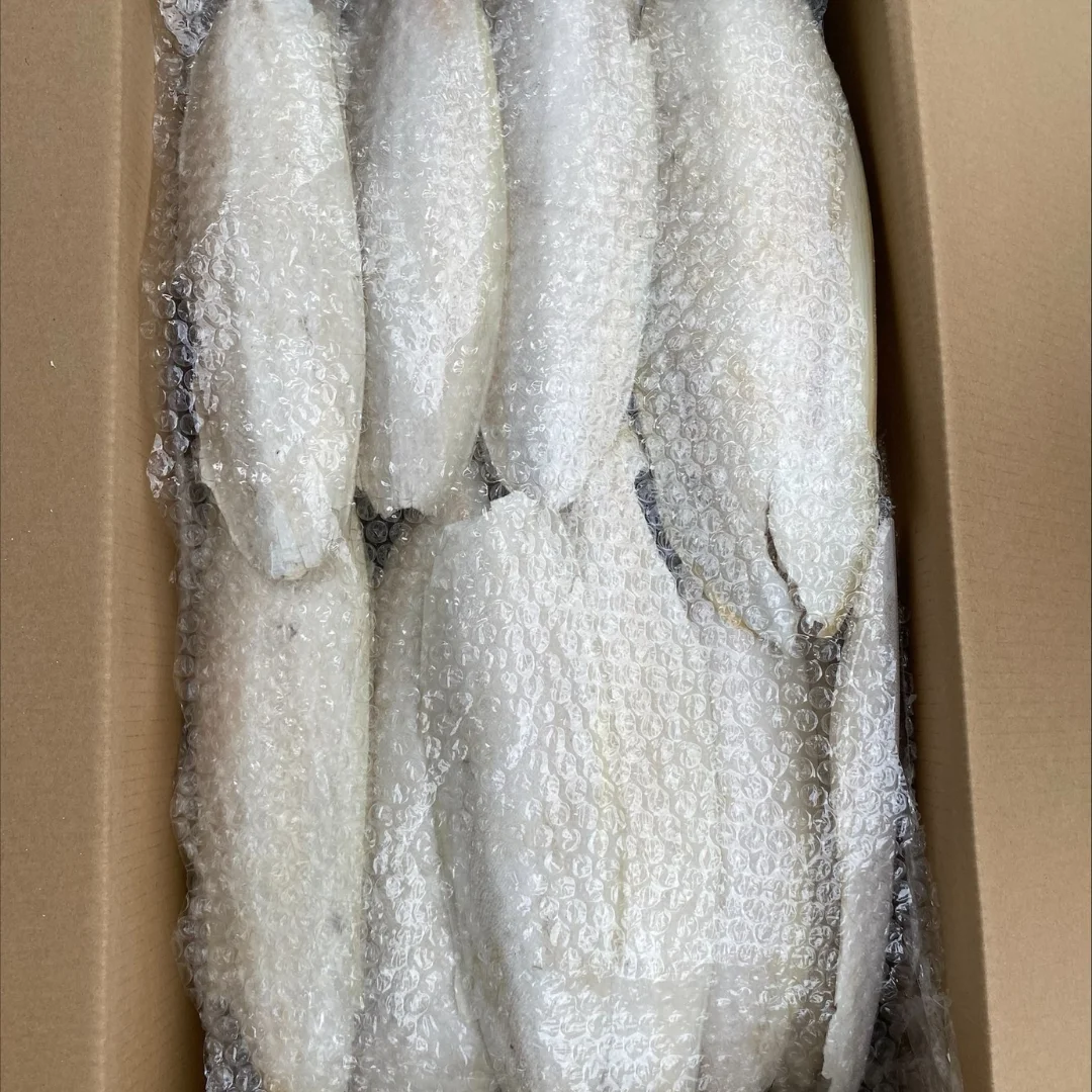 CUTTLEFISH BONE SMALL 100% NATURAL AND BEST QUALITY FROM VIETNAM FOR EXPORT/BEST PRICE FOR SALE IN HOANGLINH SG Kimy+84938616690