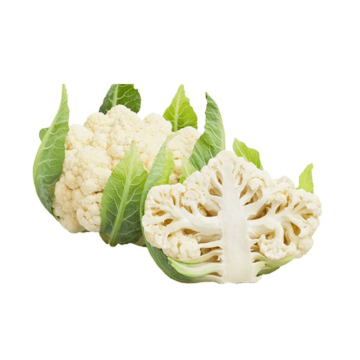 Fresh vegetable cauliflower and frozen cauliflower fresh cauliflower