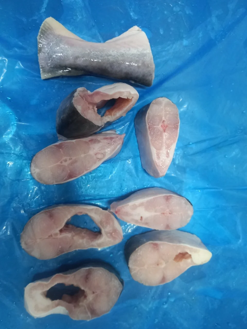 Organic Frozen Pangasius Steak/ Basa Fish Steak Wholesale