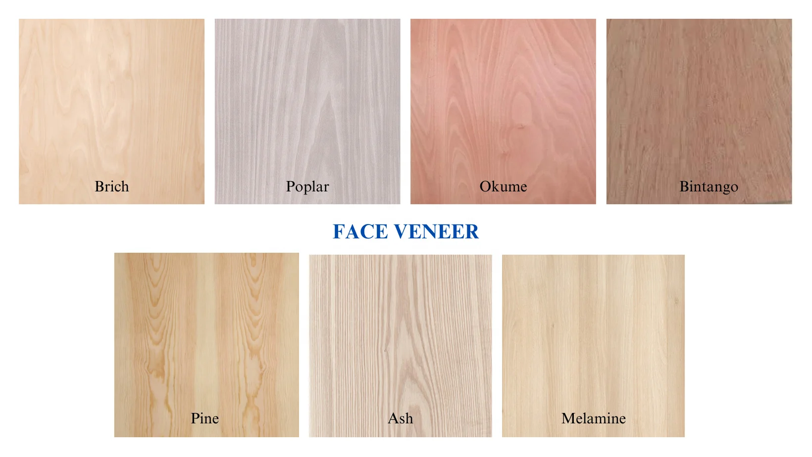 face veneer