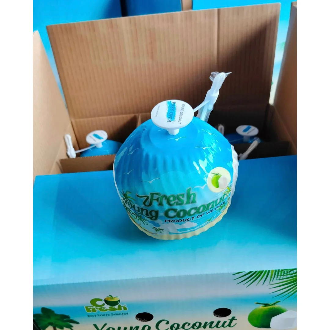 Wholesales FRESH YOUNG COCONUT VIETNAM With Push Botton And Straw Tropical Fruits