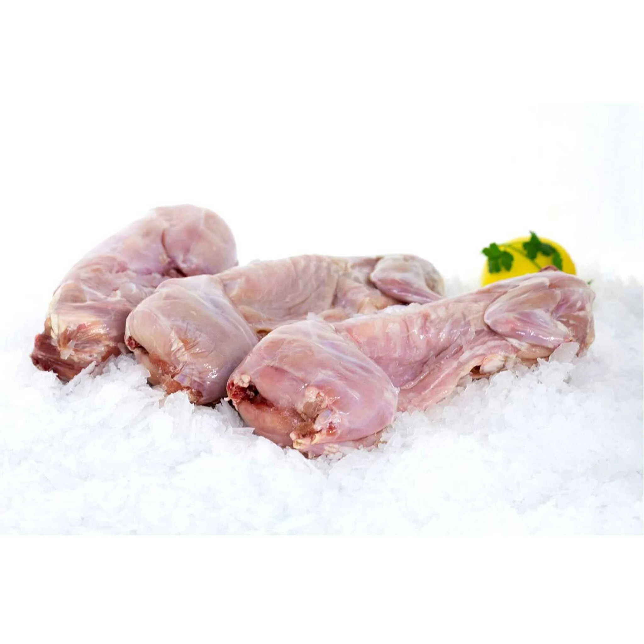 Hot SALES Frozen Rabbit Meat