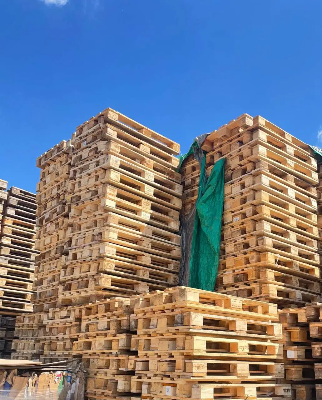 best quality Grade Euro wooden pallets all sizes available / 1200x1000 euro pallet Wholesale Plywood 48 X 40 Wooden Pallet Price