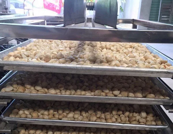 Лучшая рыночная цена на жареный макадамия Вьетнам