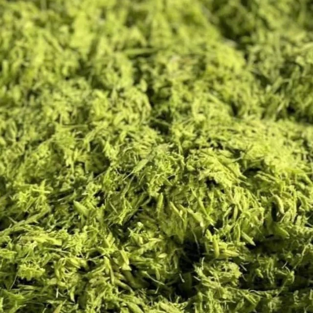 300g Jasmine Rice Milk Extract Body Skin Moisturizing Cream from Thailand Made in Thailand