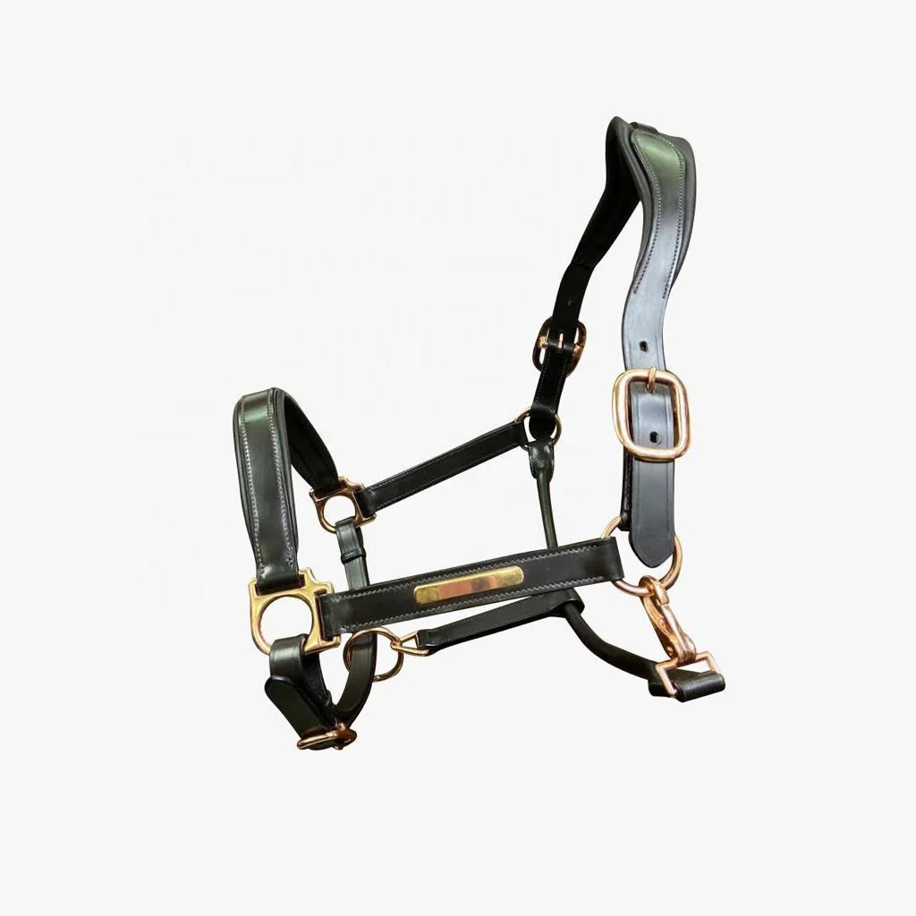 PREMIUM QUALITY PERSONALIZE  HORSE ANATOMIC HALTER REAL HIDE LEATHER HEADCOLLAR AVAILABLE IN ALL COLORS OEM ACCEPTED