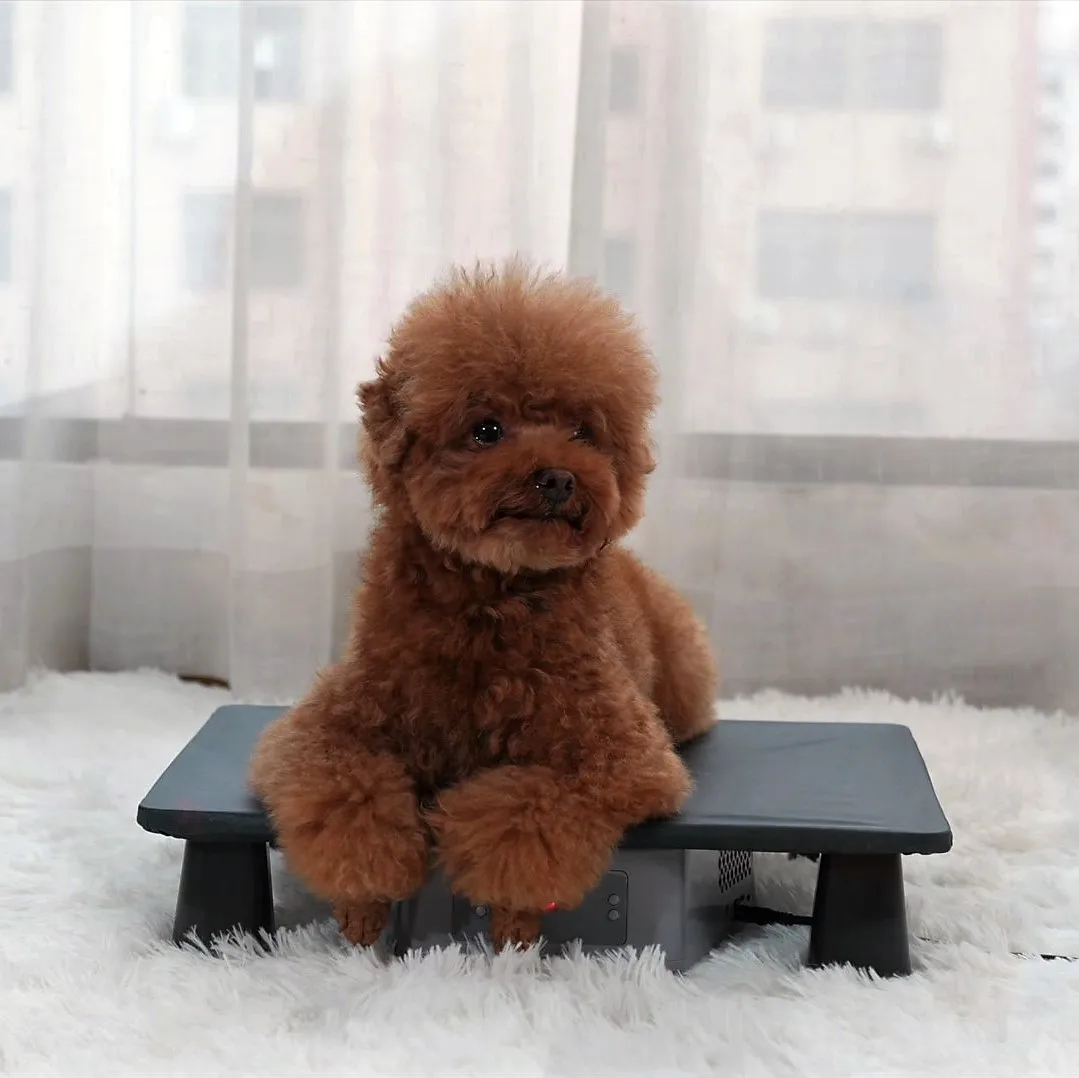 cooler warmer folder able pet house pet bed  for cat and dog bed easy to clean