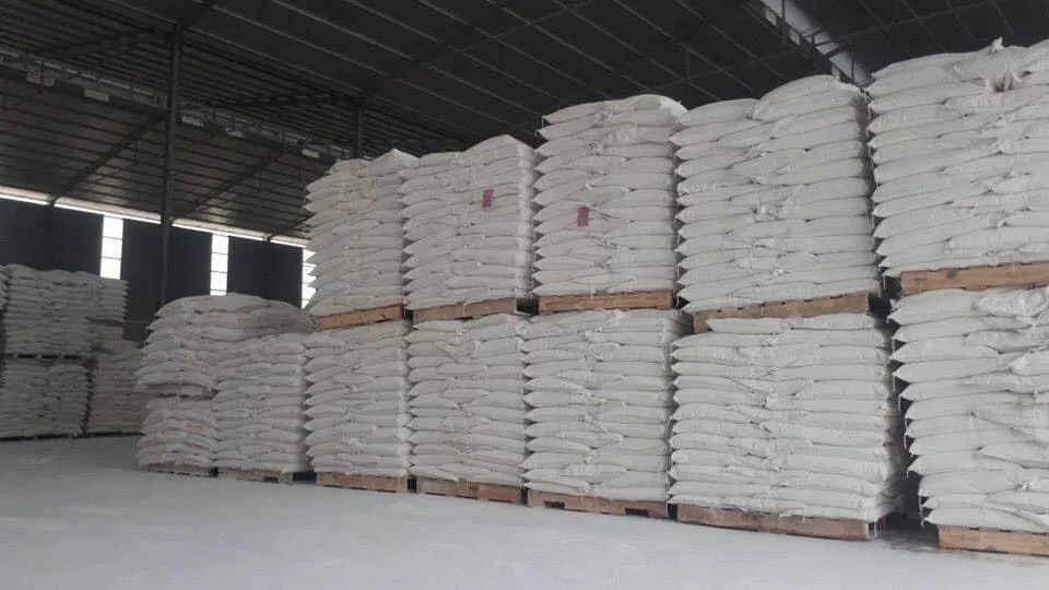 Ground Calcium Carbonate Powder made in Vietnam High quality uncoated and Coated grade