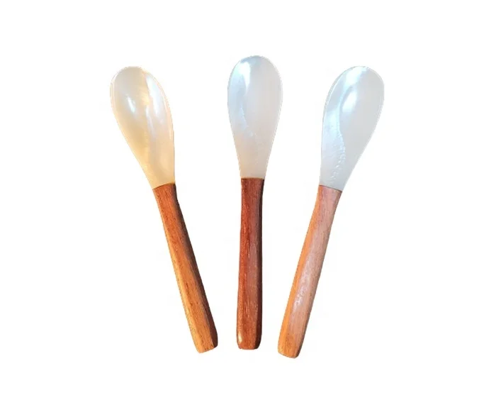 Vietcrafts Wholesale Exquisite Nacre Mother Of Pearl Caviar Spoon with wooden handle For Fancy Dinner