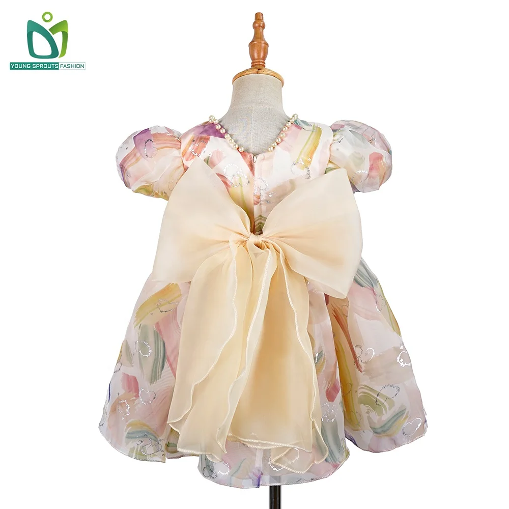 Birthday Dress For Girl Of 5 Years Old Princess Dresses For Girls