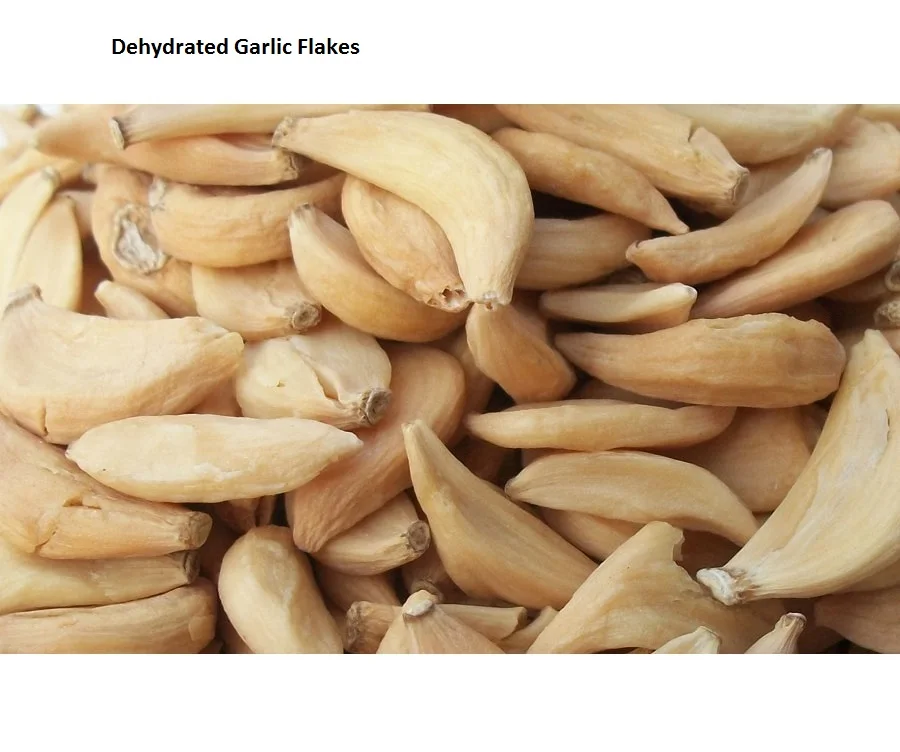 Dried Vegetables Garlic Flake Wholesale Price 100% Pure & Organic Dehydrated garlic Best Garlic Flakes From India