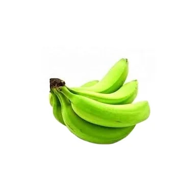 Wholesale cavendish banana green banana fresh cavendish banana Best Quality Premium Grade Common Cultivation Type
